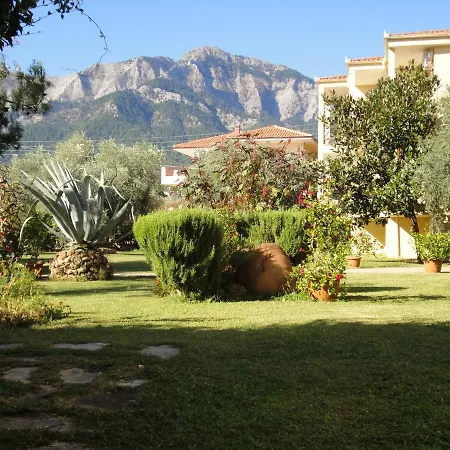 Nostos Golden *