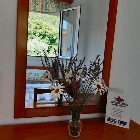 Nostos Golden クリッシ・アモウディア