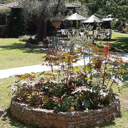 Nostos Golden クリッシ・アモウディア