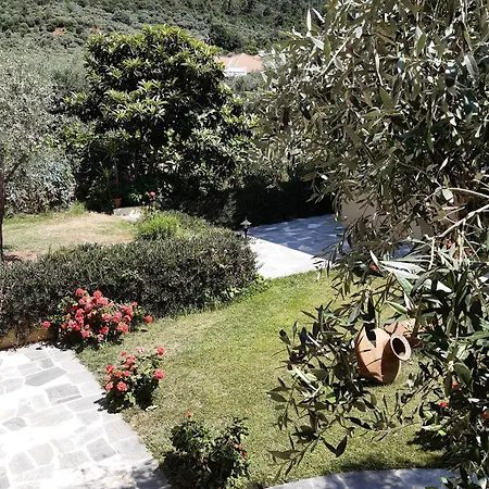 Nostos Golden